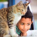 Photo by Prince Abid on Unsplash