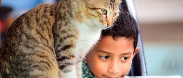 Photo by Prince Abid on Unsplash