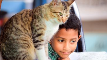 Photo by Prince Abid on Unsplash