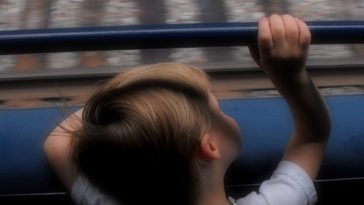 Photo by Dan Mergner on Unsplash