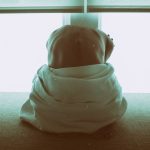 Photo by Larm Rmah on Unsplash