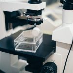 Photo by Jaron Nix on Unsplash