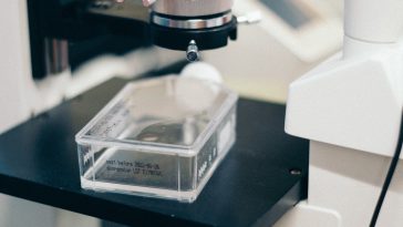 Photo by Jaron Nix on Unsplash