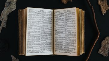 Photo by Nathan Dumlao on Unsplash