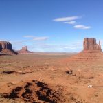 Photo by Myrtle Schilling on Unsplash