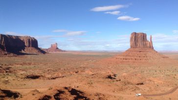 Photo by Myrtle Schilling on Unsplash