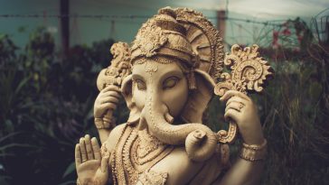 Photo by Jose Luis Sanchez Pereyra on Unsplash