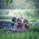 Image by Sasin Tipchai from Pixabay