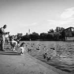 Image by StockSnap from Pixabay