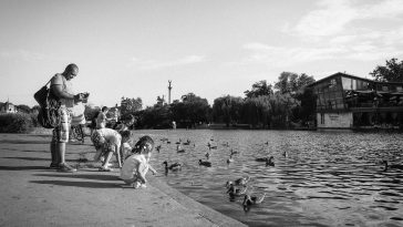 Image by StockSnap from Pixabay