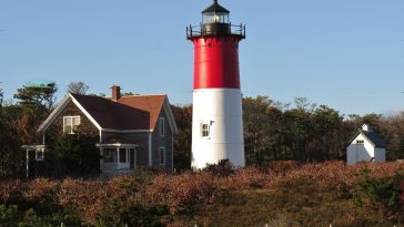 Image by John French from Pixabay