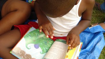 Image by browncarola0 from Pixabay