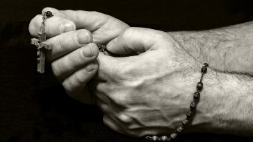 Image by Myriam Zilles from Pixabay