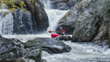 Image by Eric Haggart from Pixabay