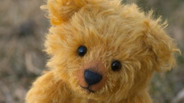 Photo by Oxana Lyashenko on Unsplash