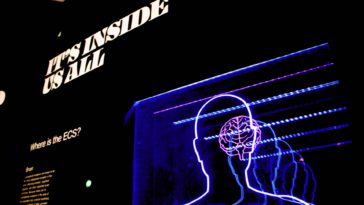 Photo by Bret Kavanaugh on Unsplash