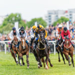 Best Books To Read About Horses Who Made History In Races