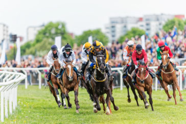 Best Books To Read About Horses Who Made History In Races