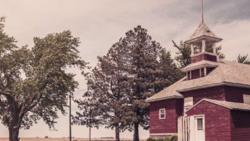 In Cold Blood - A Novel Set in My Backyard