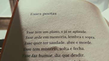 Photo by mauRÍCIO SANTOS on Unsplash