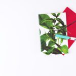 Photo by Nicola Styles on Unsplash