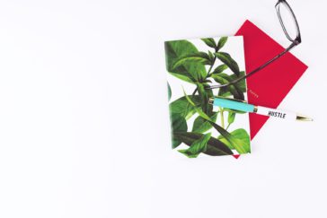 Photo by Nicola Styles on Unsplash