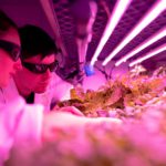 Photo by ThisisEngineering RAEng on Unsplash