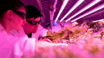 Photo by ThisisEngineering RAEng on Unsplash