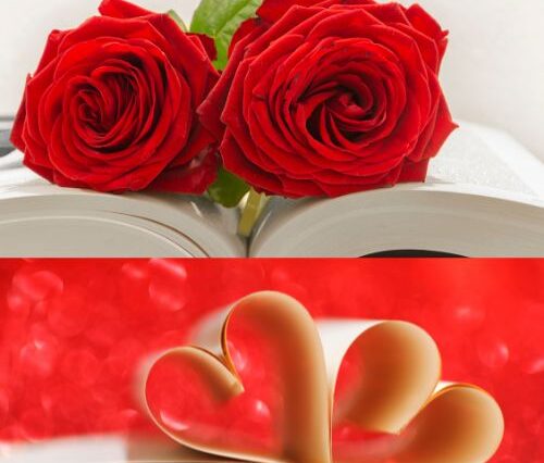 Top 10 YA Romance Books for Valentine's Day 2026 | Young Adult Books & Best Sellers
